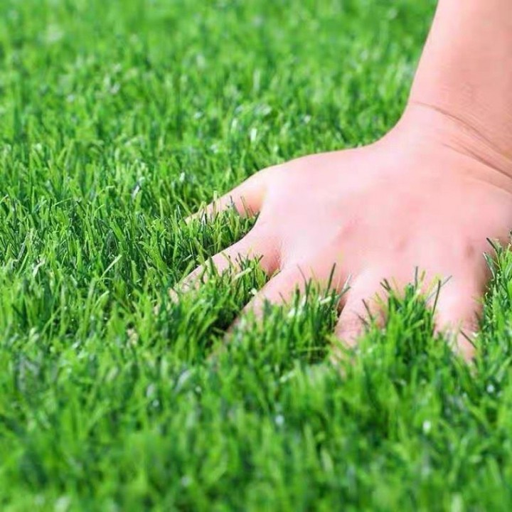 Thảm cỏ nhân tạo ngọn cao 3cm